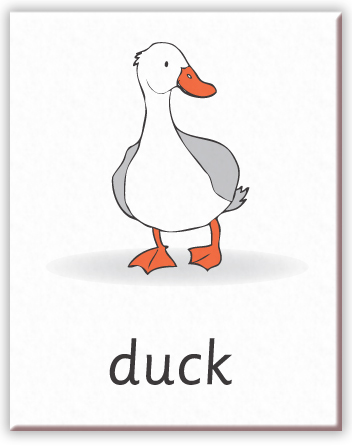 First writing duck